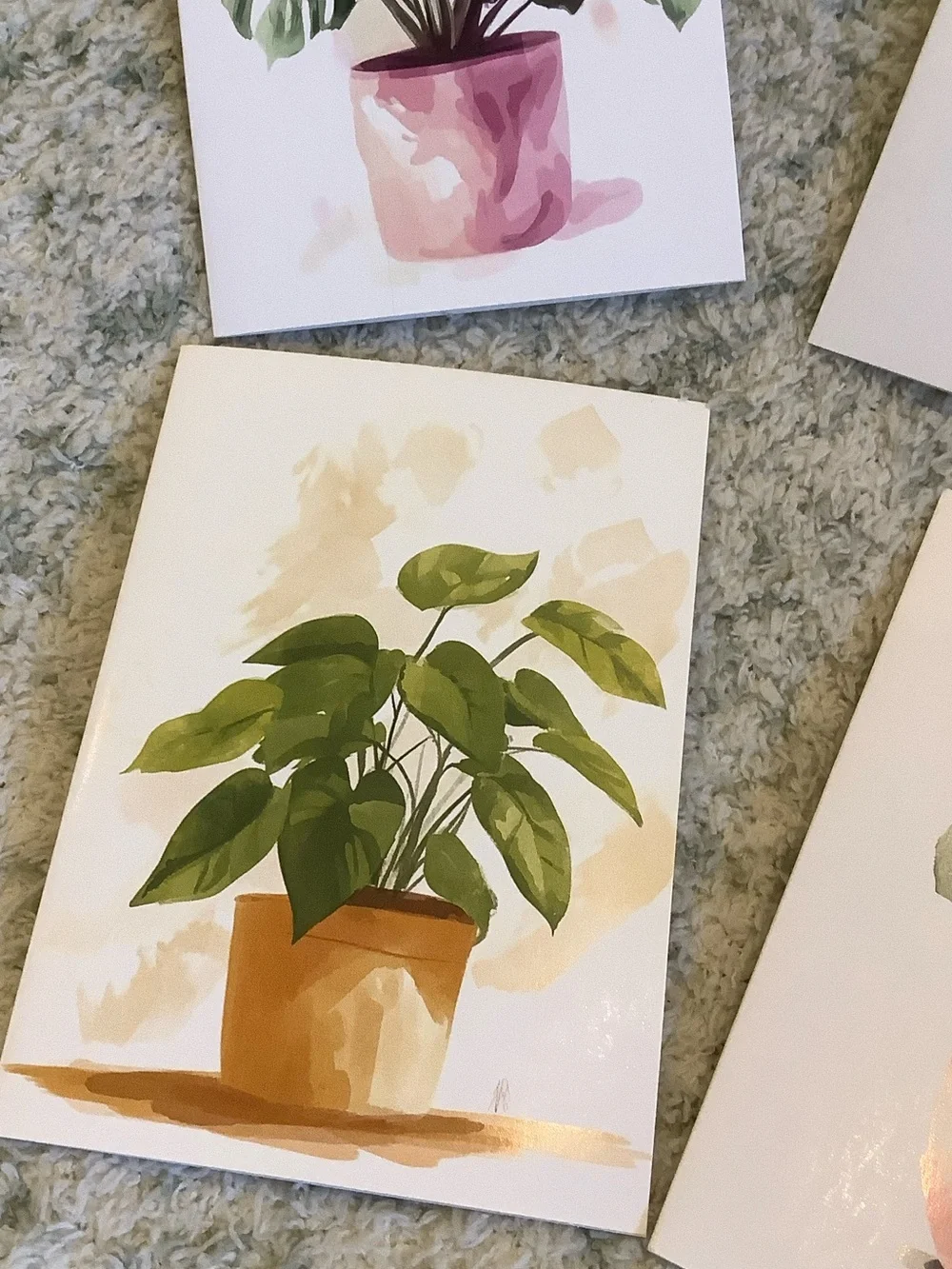 Potted Tropical Plants Note Cards Variety Pack Set of 6 Blank inside NWT HC